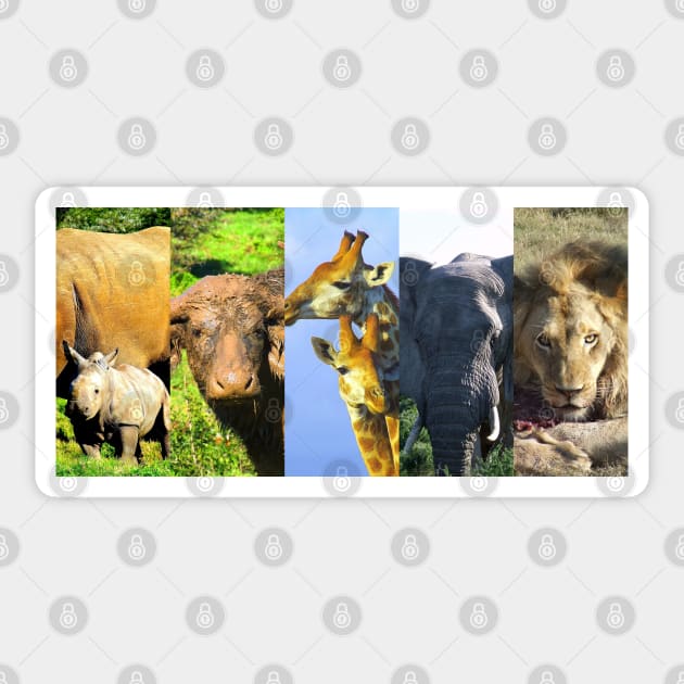 African Wildlife Collage Frames Sticker by PathblazerStudios